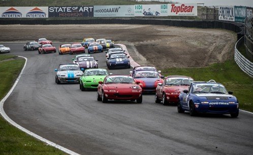 pinksterraces 2013  4  498x305