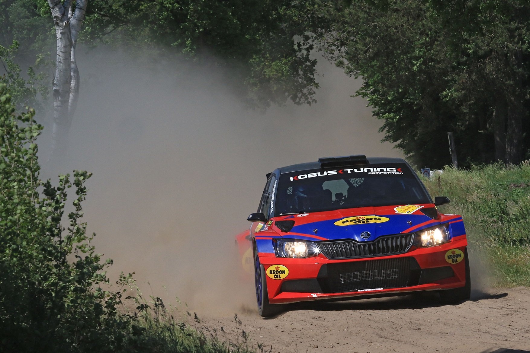 Eurol R5 Rally Challenge ELE Rally Hermen Kobus Erik de Wild Skoda 170528