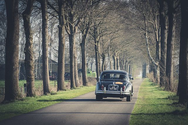 IJssellandrally 2019 5