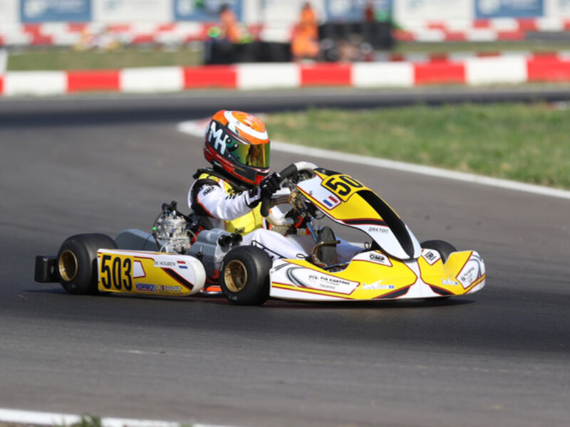 Mees Houben Cremona 01