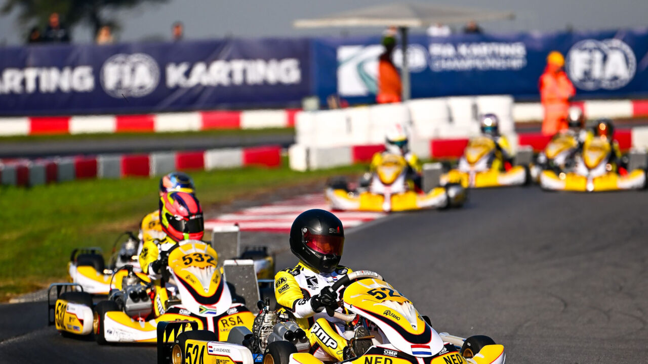 Vanscheijndel cremona 02